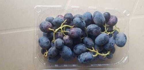 5 & 5.5 KG WITH 10 OR 11 PUNNETS