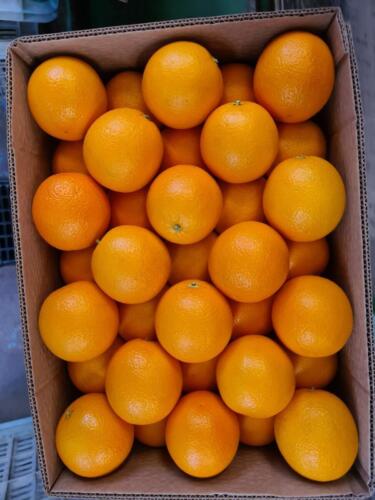 Telescopic Carton 15 kg